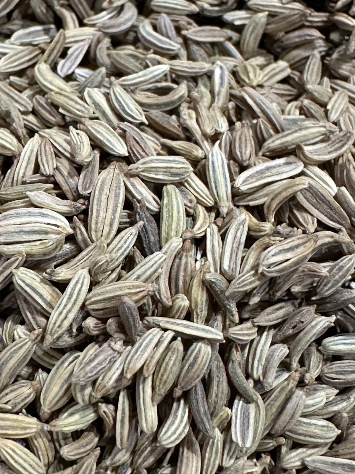 Fennel Seeds