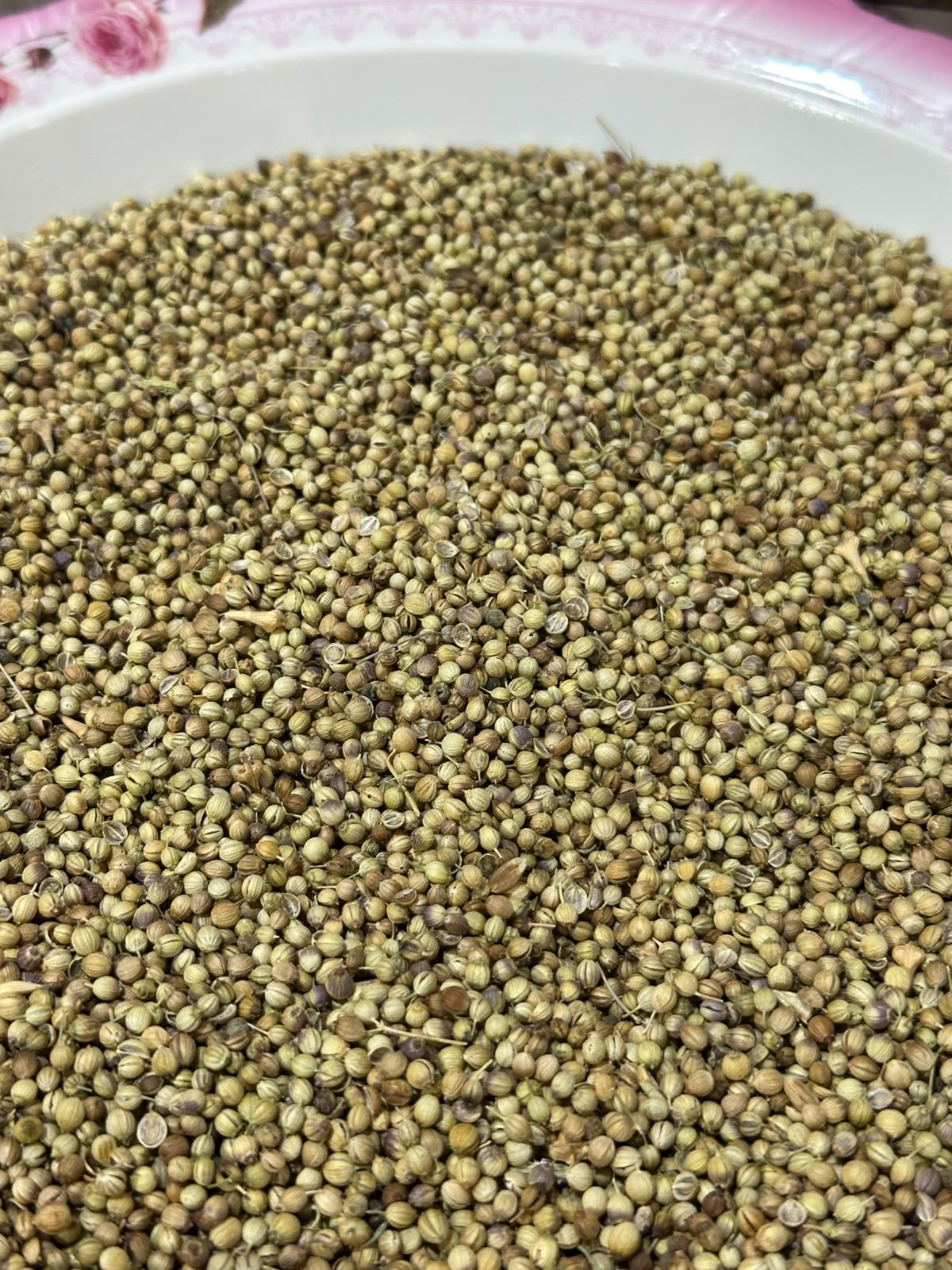 Dry Coriander