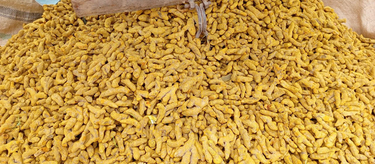 Turmeric Powder