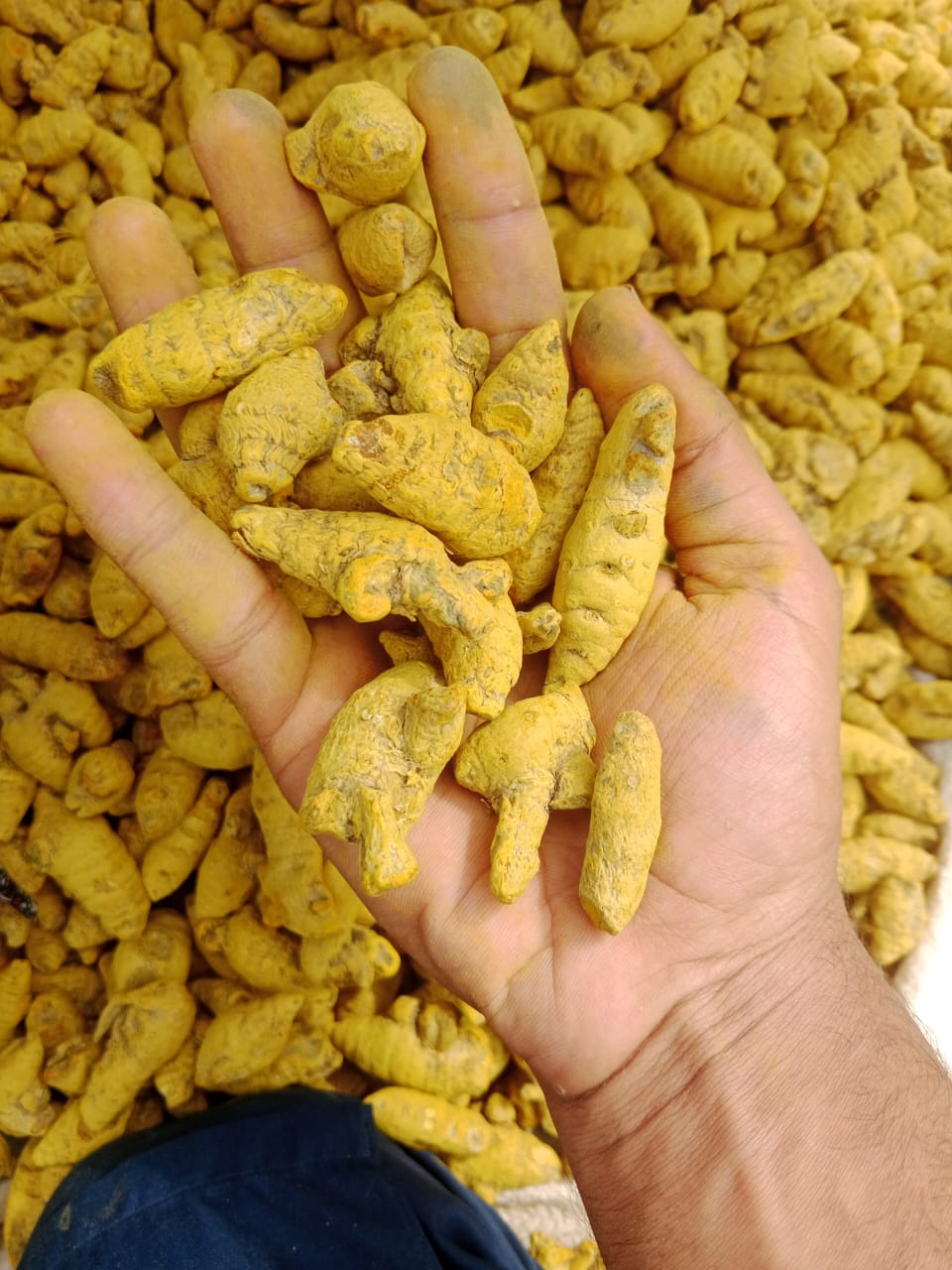 Turmeric Powder
