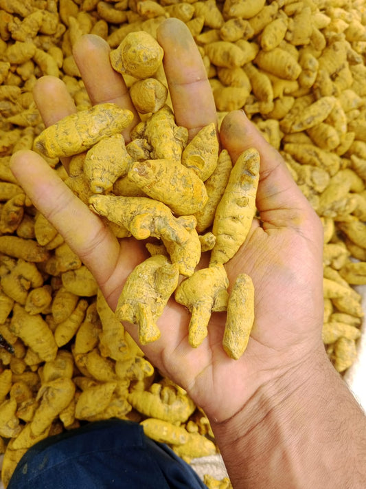 Turmeric Powder