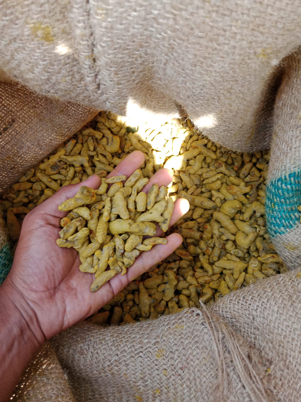 Turmeric Powder